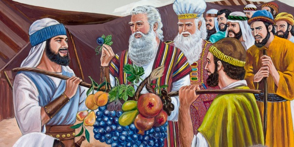 Josua en Kaleb en die ander spioene wys vir Moses van die vrugte van die land Kanaän