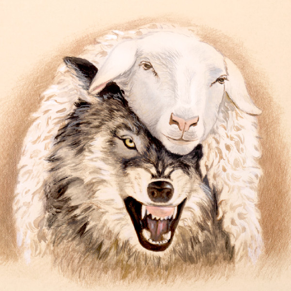 ’n Wolf in skaapsklere