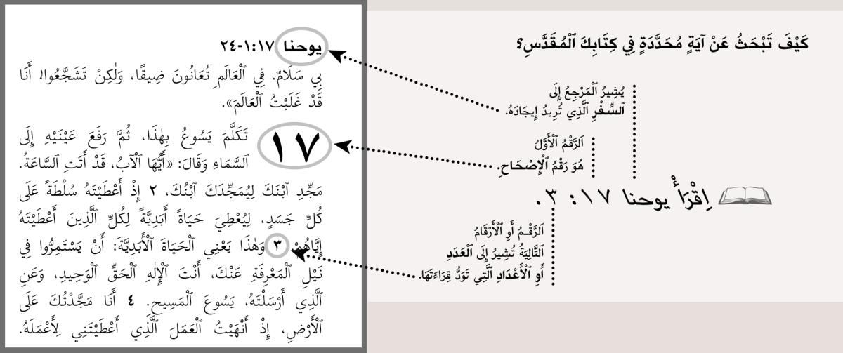 رسم يوضح كيف تبحث عن آية محددة في الكتاب المقدس