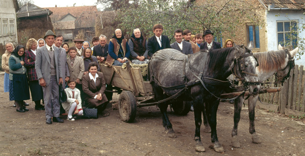 الصورة في الصفحة ١١١