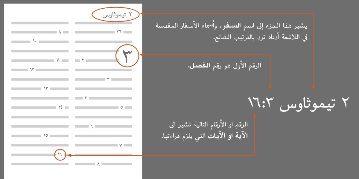 اسفار الكتاب المقدس،‏ الفصول،‏ الآيات