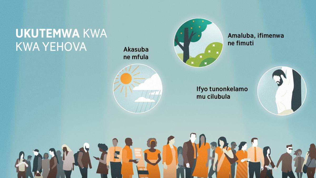 Ifyo Munonkelamo mu Kutemwa Ukushipwa Ukwa kwa Yehova — Watchtower