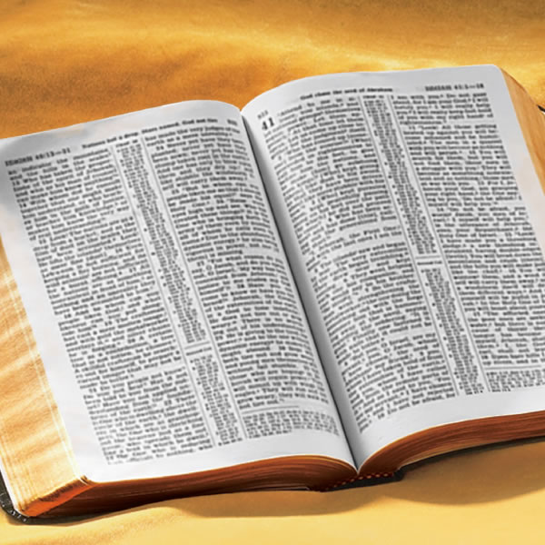 Uma Bíblia aberta e o título do livro, “O Que a Bíblia Realmente Ensina?”