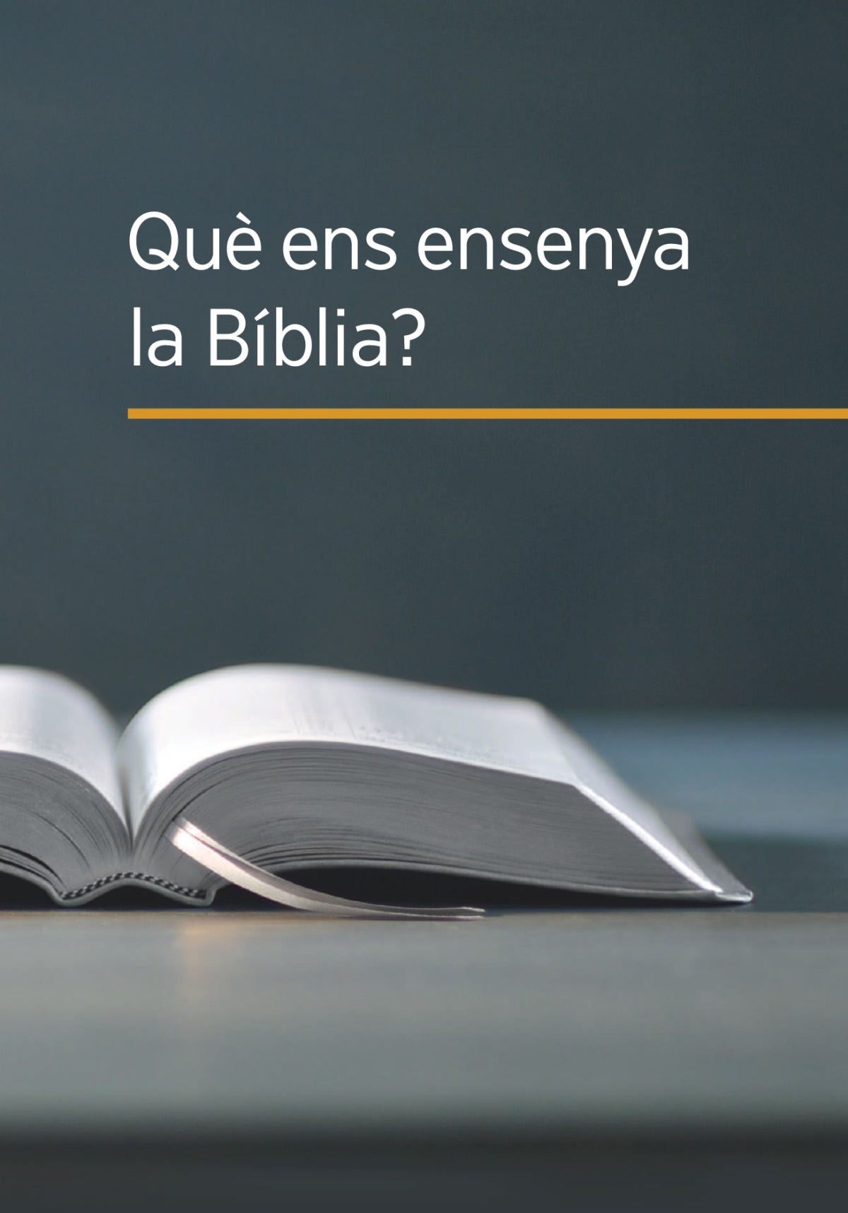 El llibre ‘Què ens ensenya la Bíblia?’