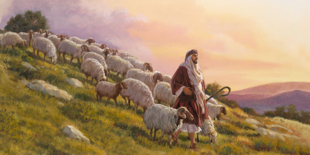 一群羊跟着牧人下山