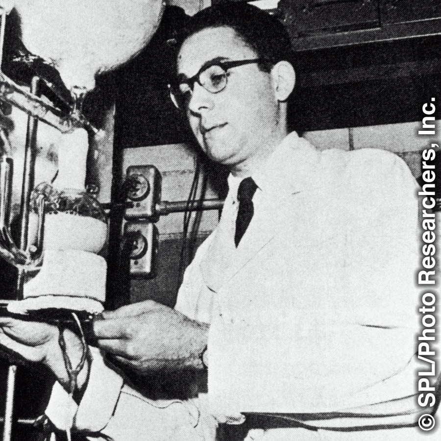 米勒，攝於1953年