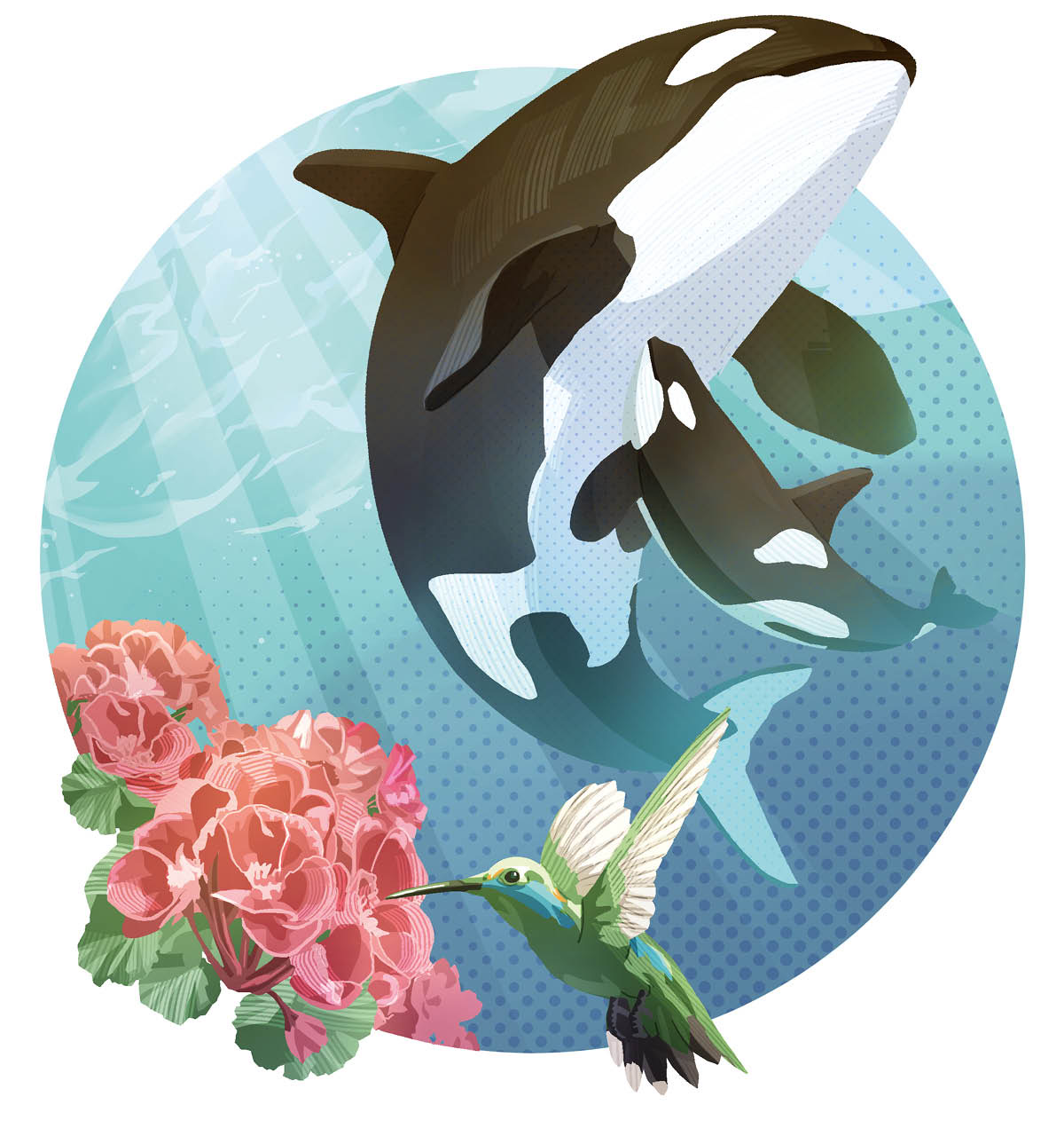 Serie de imágenes: Una orca y su cría, flores y un colibrí.