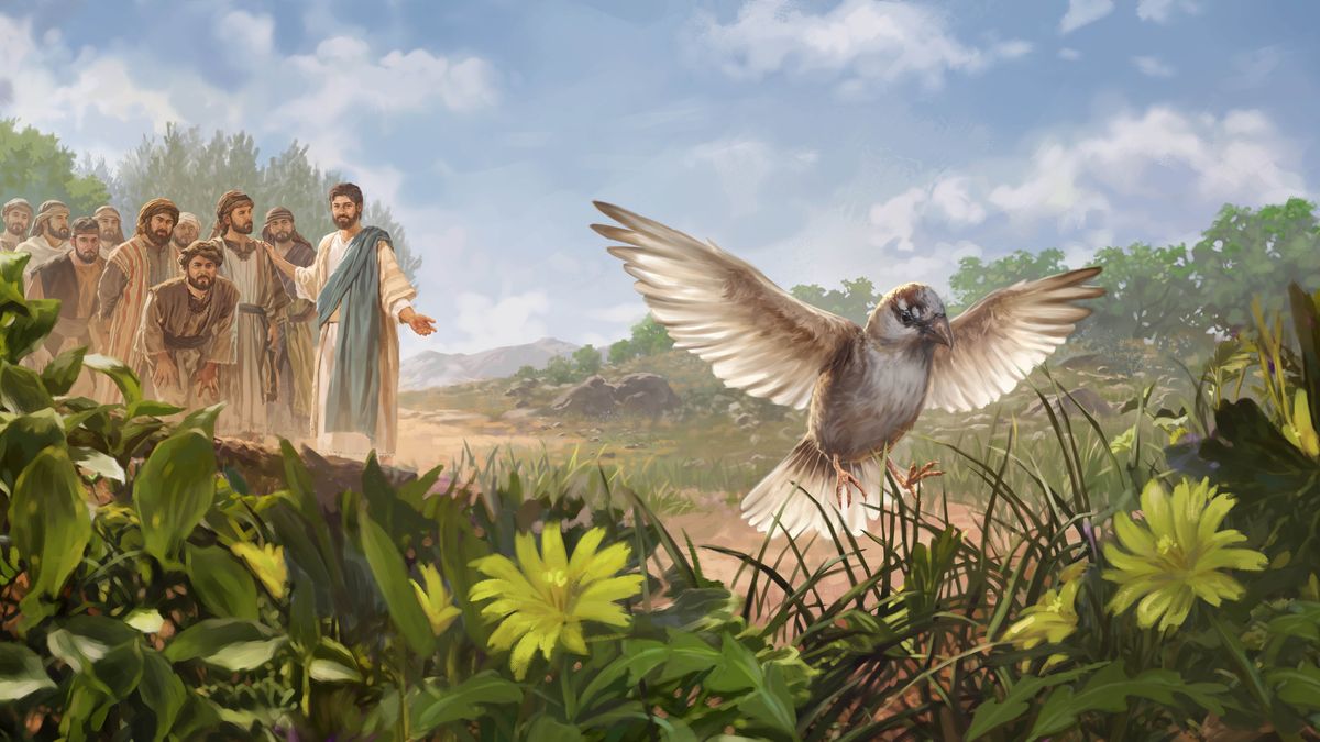 Jesus peger på en spurv der er ved at lande på jorden. Hans disciple lytter opmærksomt.