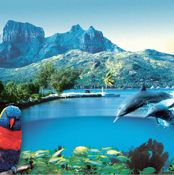 Was Gott erschaffen hat: Berge, See, Fische, Vögel und Bäume