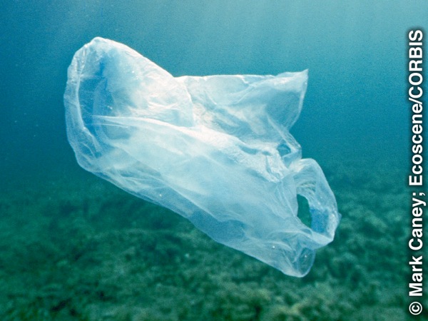 Im Meer treibende Plastiktüte