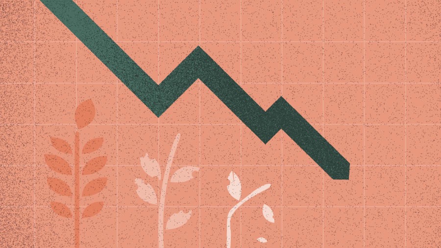 Eine Grafik zeigt einen Rückgang in der Getreideproduktion.