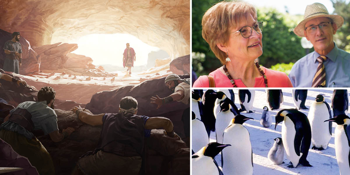 Collage: Highlights of Friday’s program. 1. King Saul enters a cave where David and his men are hiding. 2. A couple in the ministry. 3. Emperor penguins and their chicks.