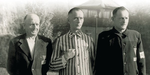 Three brothers in prison uniforms who willingly endured persecution in Nazi Germany.