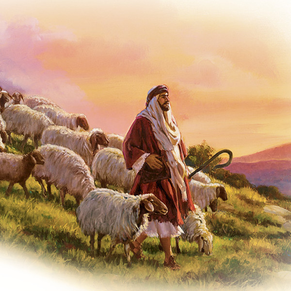 A shepherd leading his sheep.