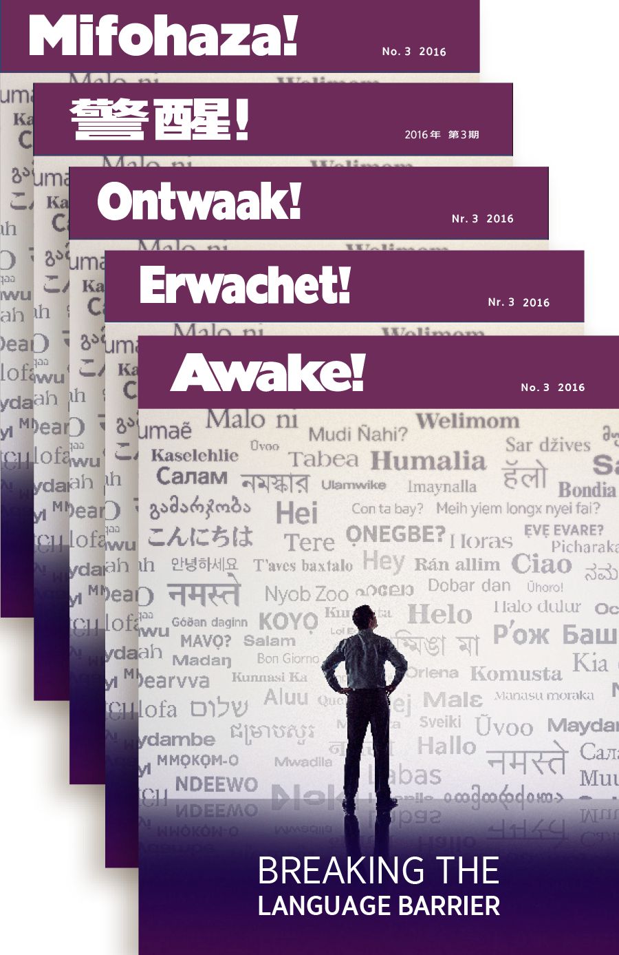 The Awake! magazine in various languages