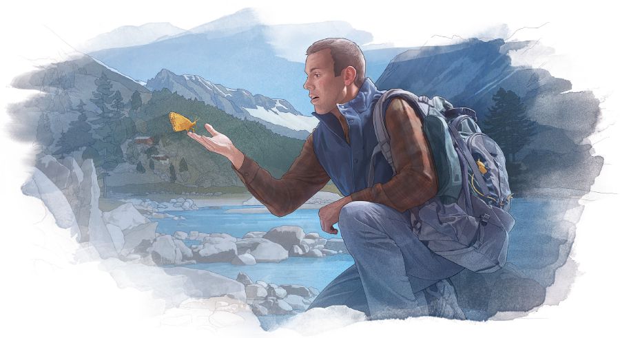 A man looks closely at a butterfly