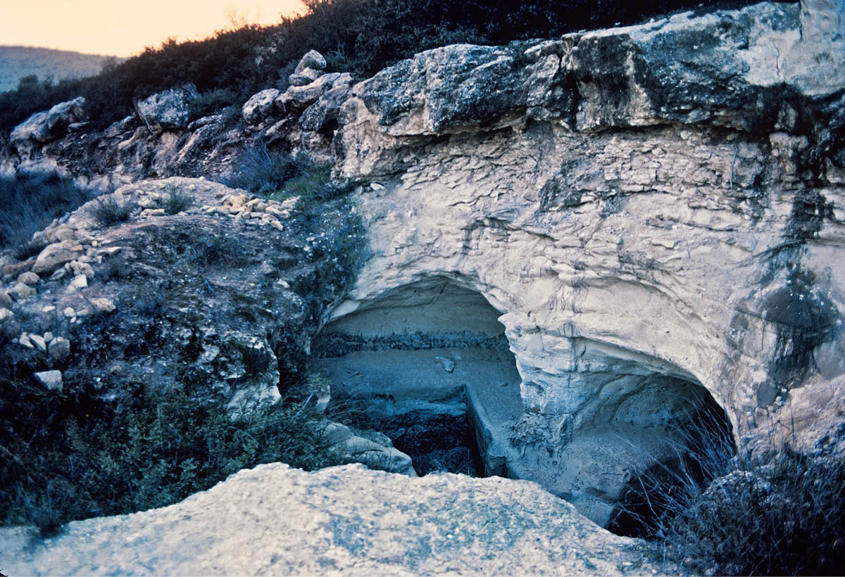 [Picture on page 325]