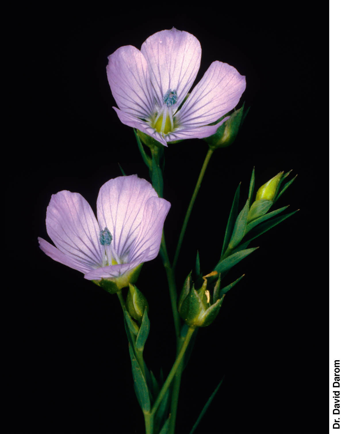 [Picture on page 544]