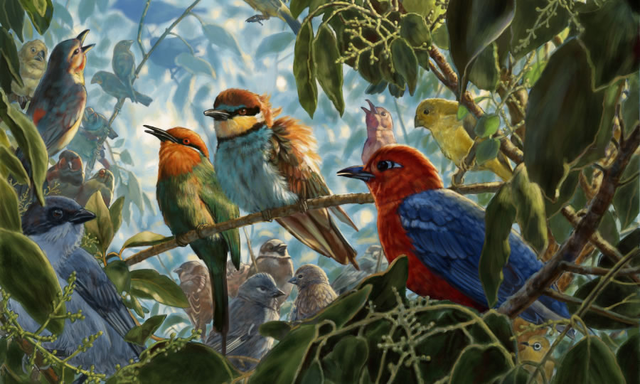 A variety of birds lodging in a mustard tree