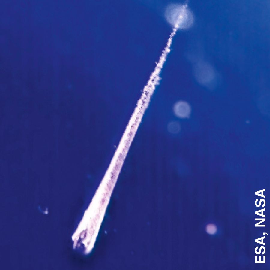 The Living — Watchtower ONLINE LIBRARY