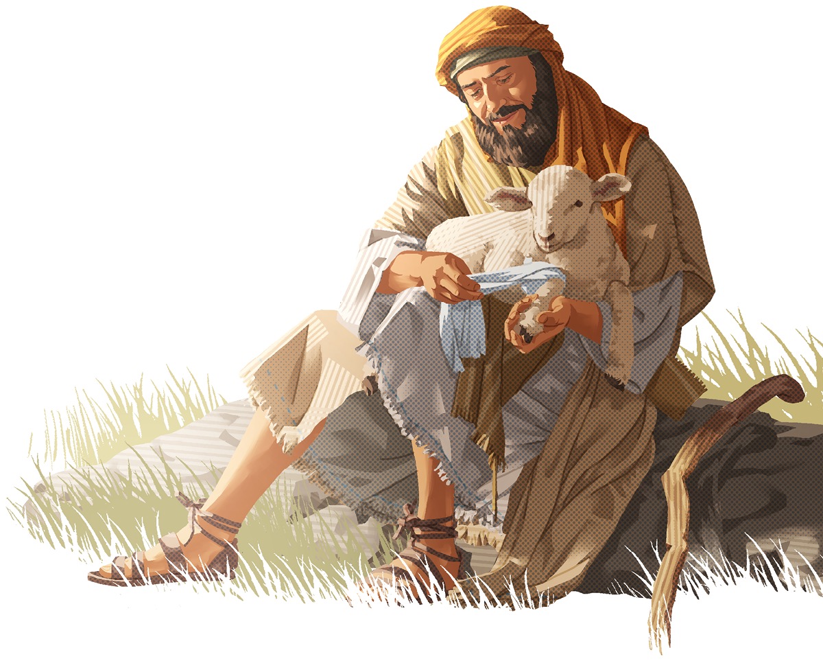 A shepherd tenderly bandaging an injured sheep.