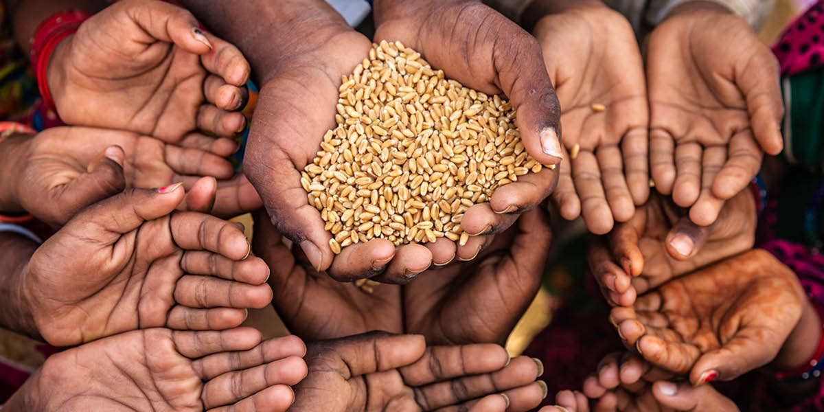 A pair of hands holding grain. Multiple sets of cupped hands surround it, begging for food.