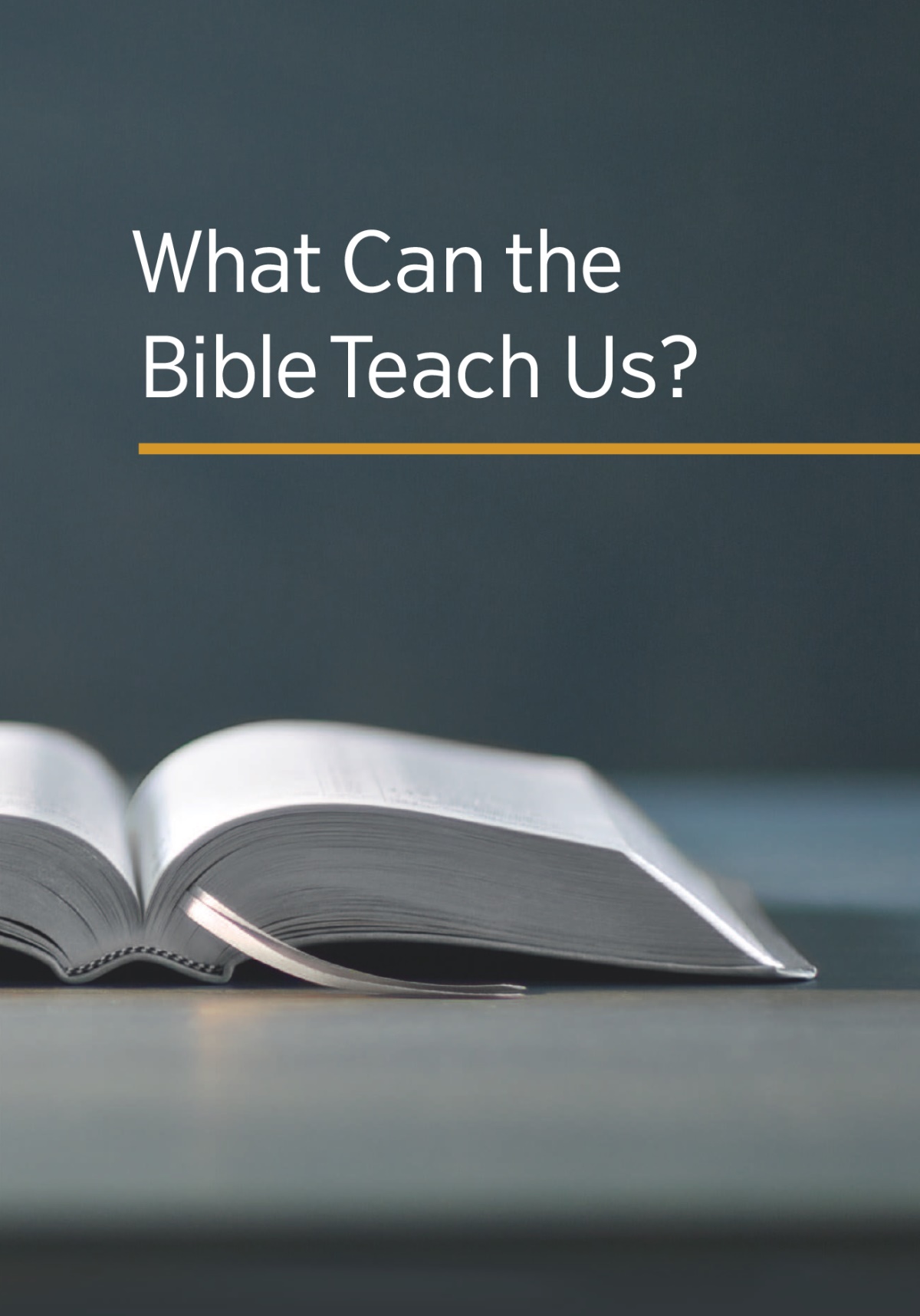 The book ‘What Can the Bible Teach Us?’