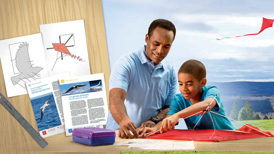 A father and son building a kite. In the background are articles about birds from the series ‘Was It Designed?’