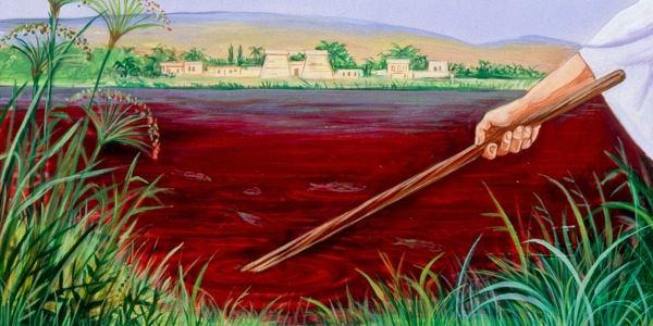 The Nile River is turned into blood, the first plague