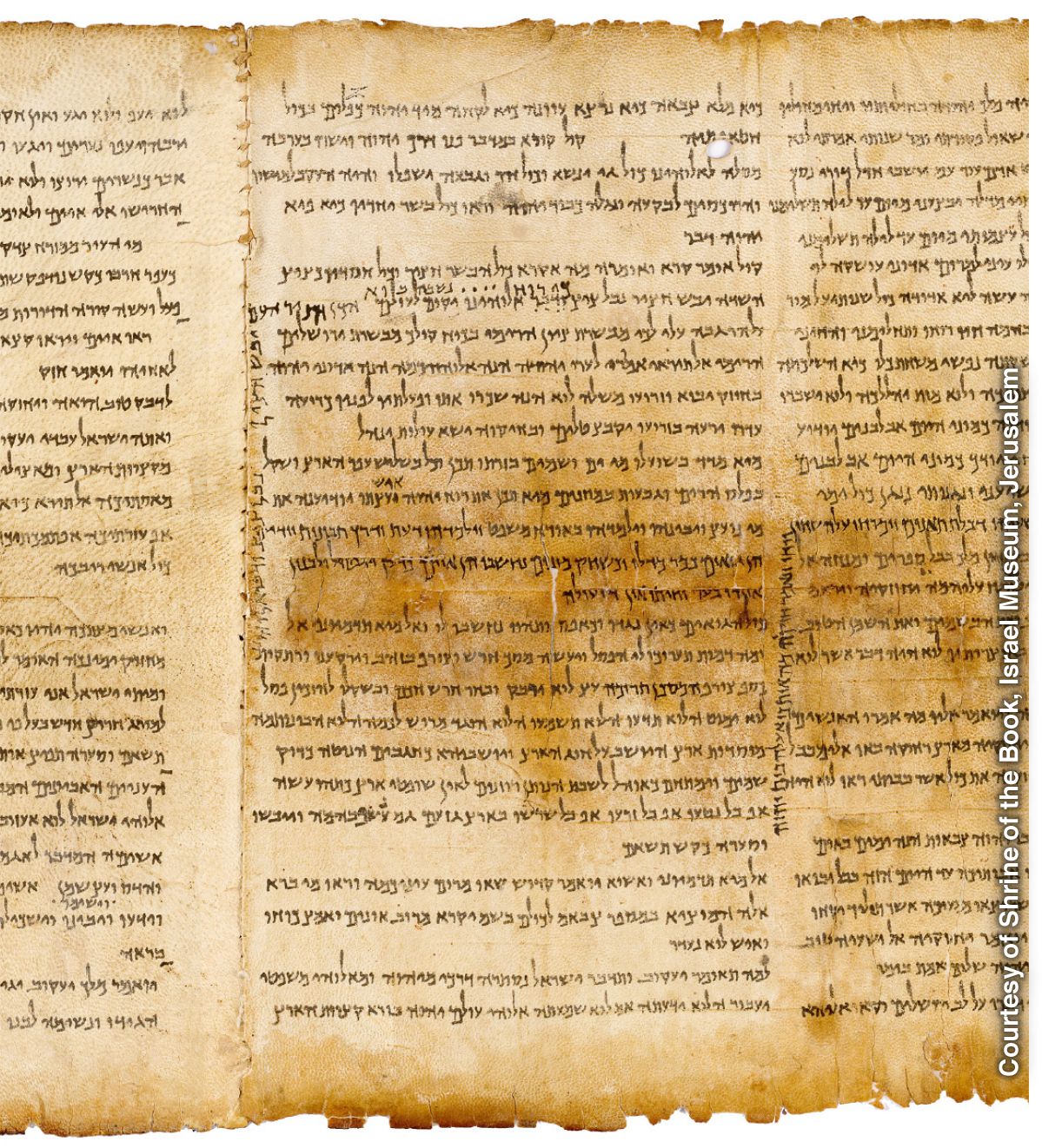 Hebrew text in the dead sea scrolls