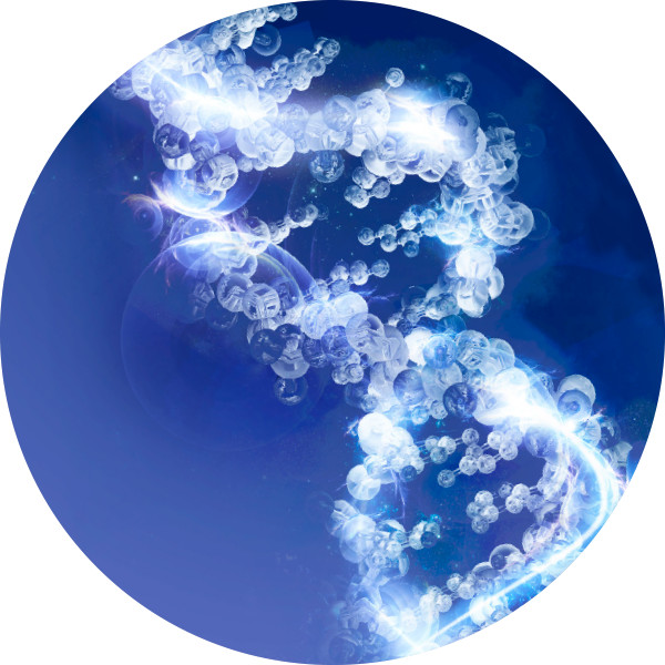 DNA