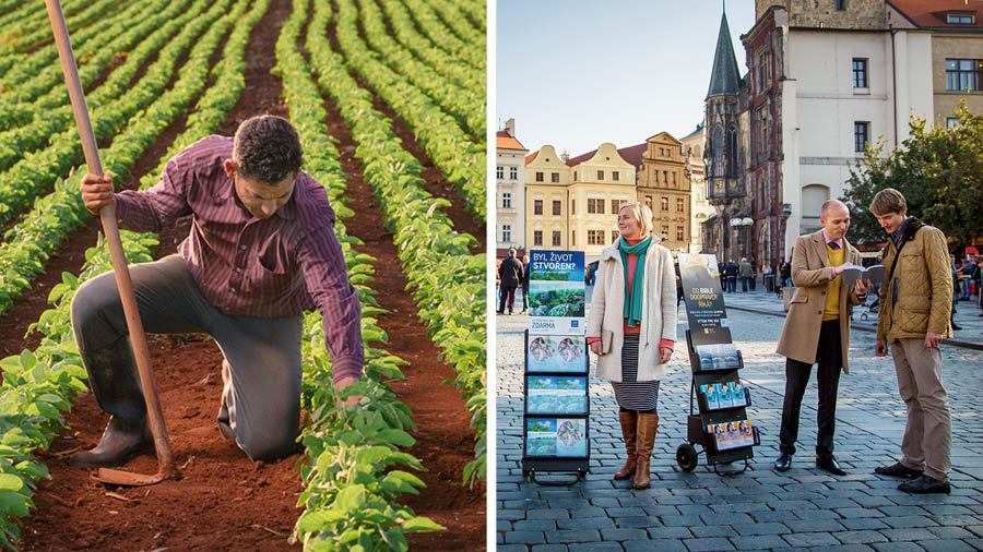 Collage: 1. A farmer holds a hoe and kneels down to check his crop. 2. A brother and sister engage in public cart witnessing. The brother reads a scripture to a man.
