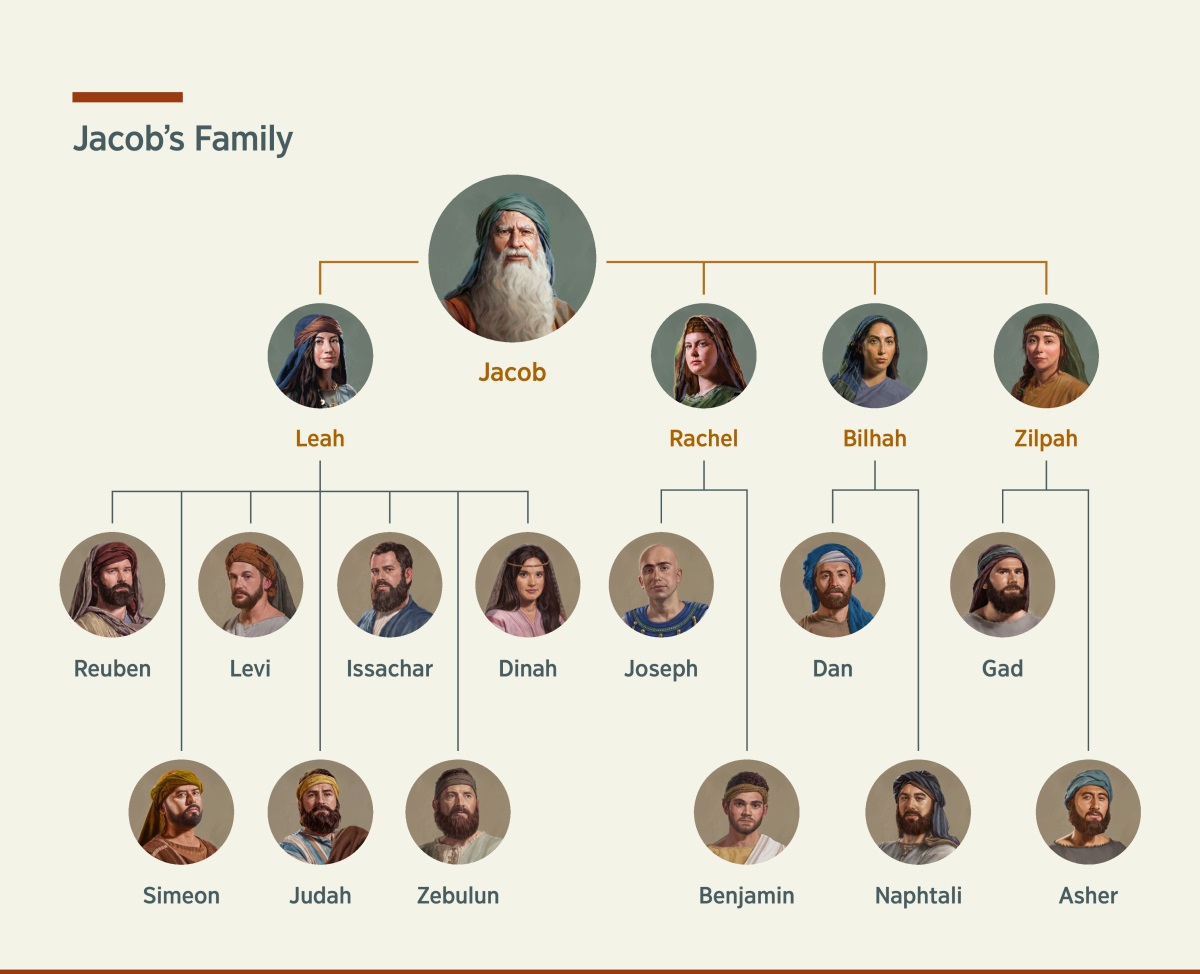 A chart showing Jacob’s family tree. He has two wives, Leah and Rachel, as well as two concubines, Bilhah and Zilpah. His children through Leah are Reuben, Simeon, Levi, Judah, Issachar, Zebulun, and Dinah. His children through Rachel are Joseph and Benjamin. His children through Bilhah are Dan and Naphtali. His children through Zilpah are Gad and Asher.