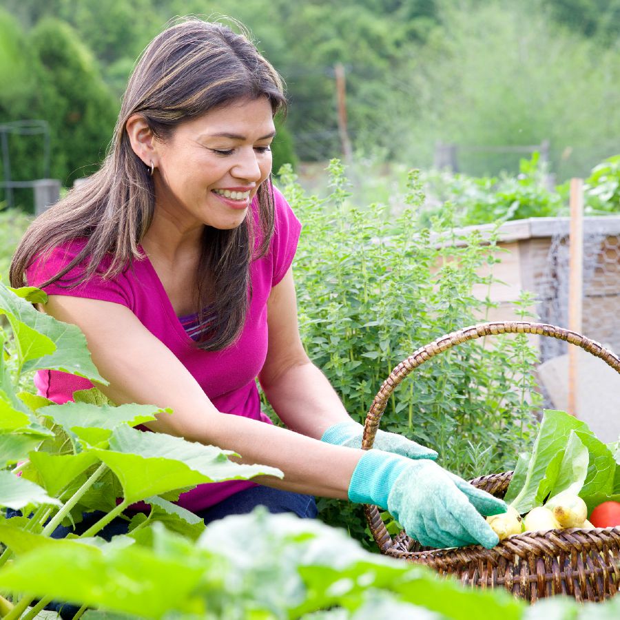 A woman works in a garden