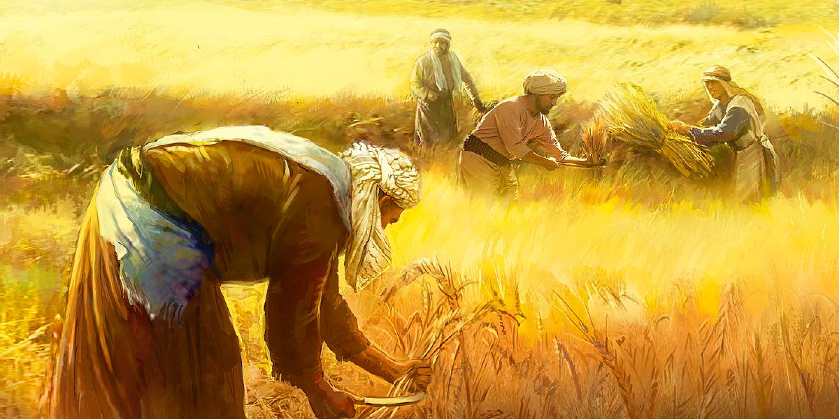 Workers in a wheat field