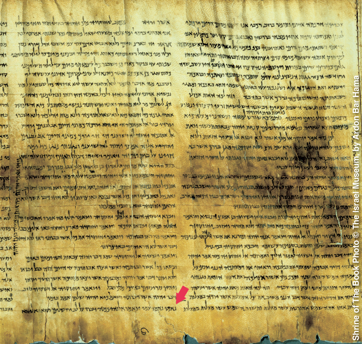 [Ilustración de la página 1258]