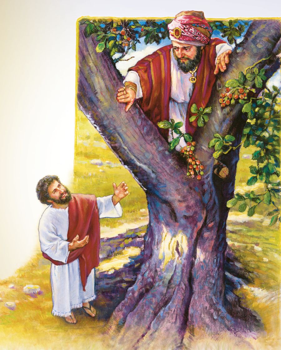 Jesús le pide a Zaqueo que baje del árbol