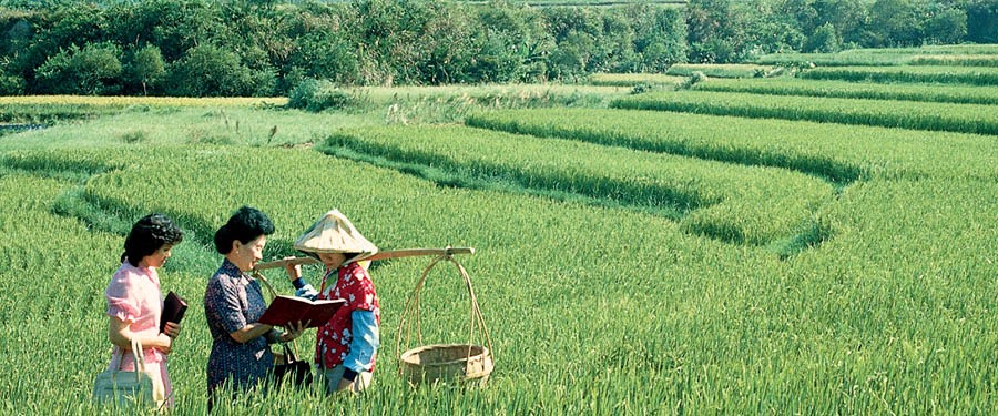 Unas testigos de Jehová predicándole a una señora en un campo de arroz