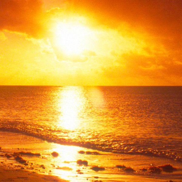 Voldiku „Kas tahaksid teada tõde?” esikülg