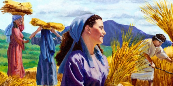 مردم روزگار باستان در حال جمع‌آوری گندم