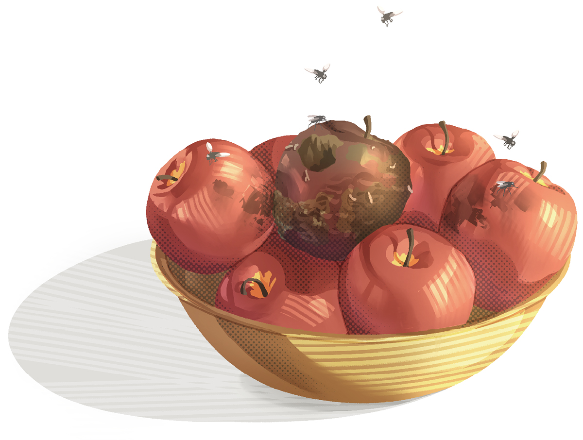 یک ظرف پر از سیب.‏ یکی از سیب‌ها گندیده است و مگس‌ها اطراف آن هستند و سیب‌های دیگر را هم خراب می‌کند.‏