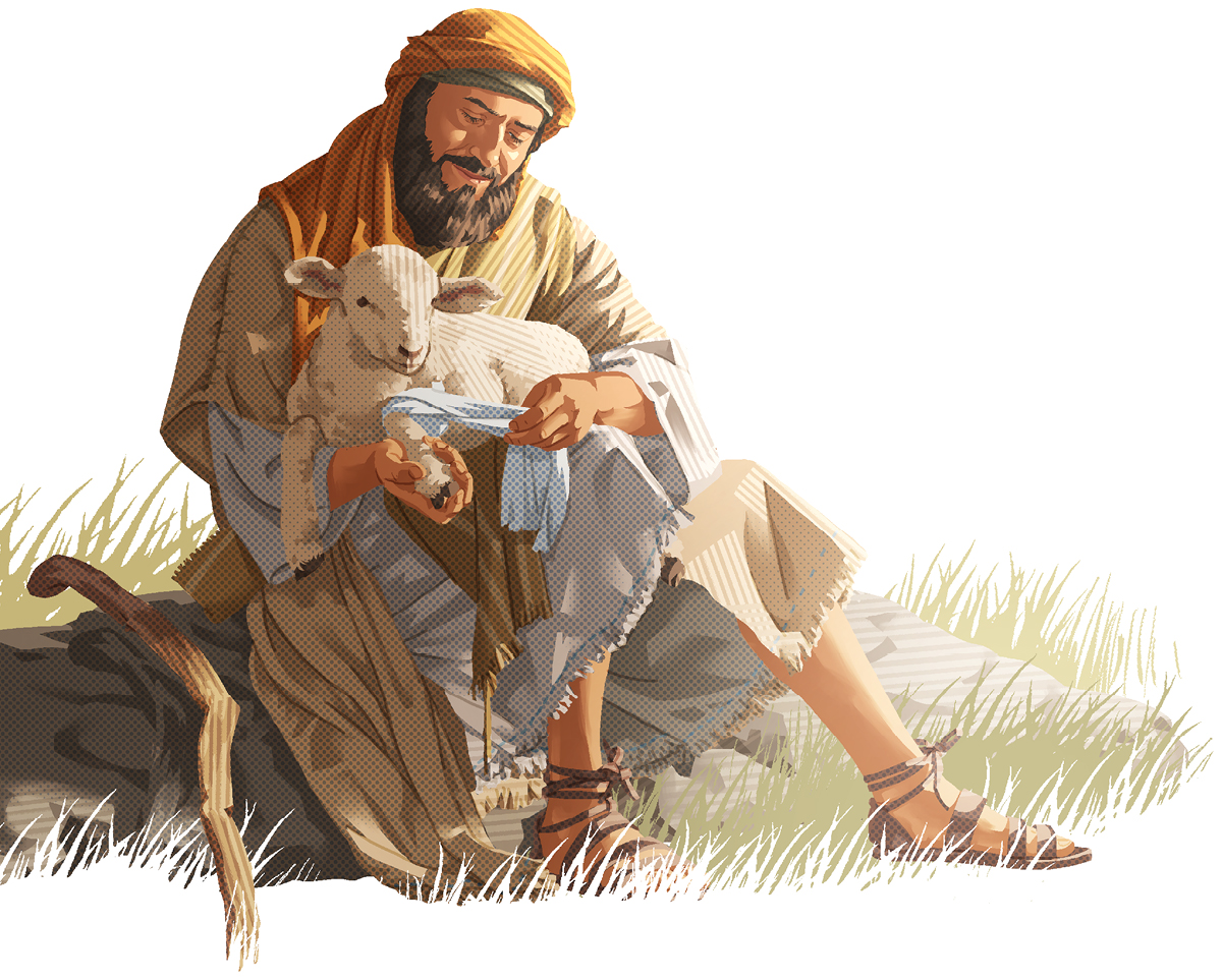 یک چوپان روی زخم برّه‌ای مرهم می‌گذارد و آن را باندپیچی می‌کند.‏