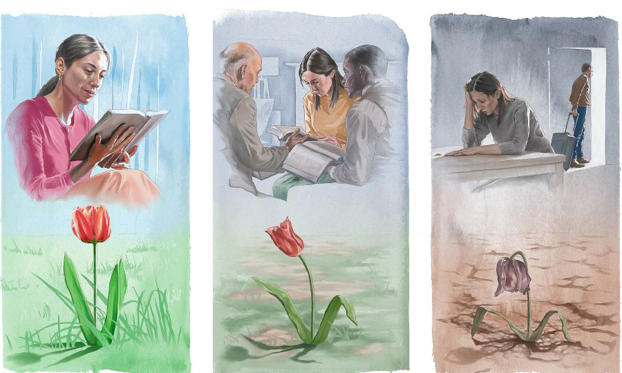 خواهری پس از اين كه شوهرش او را ترک می‌كند،‏ بسيار آشفته است؛‏ پيران جماعت به ملاقات آن خواهر رفته‌اند؛‏ او با خواندن كتاب مقدّس تسلّی می‌يابد