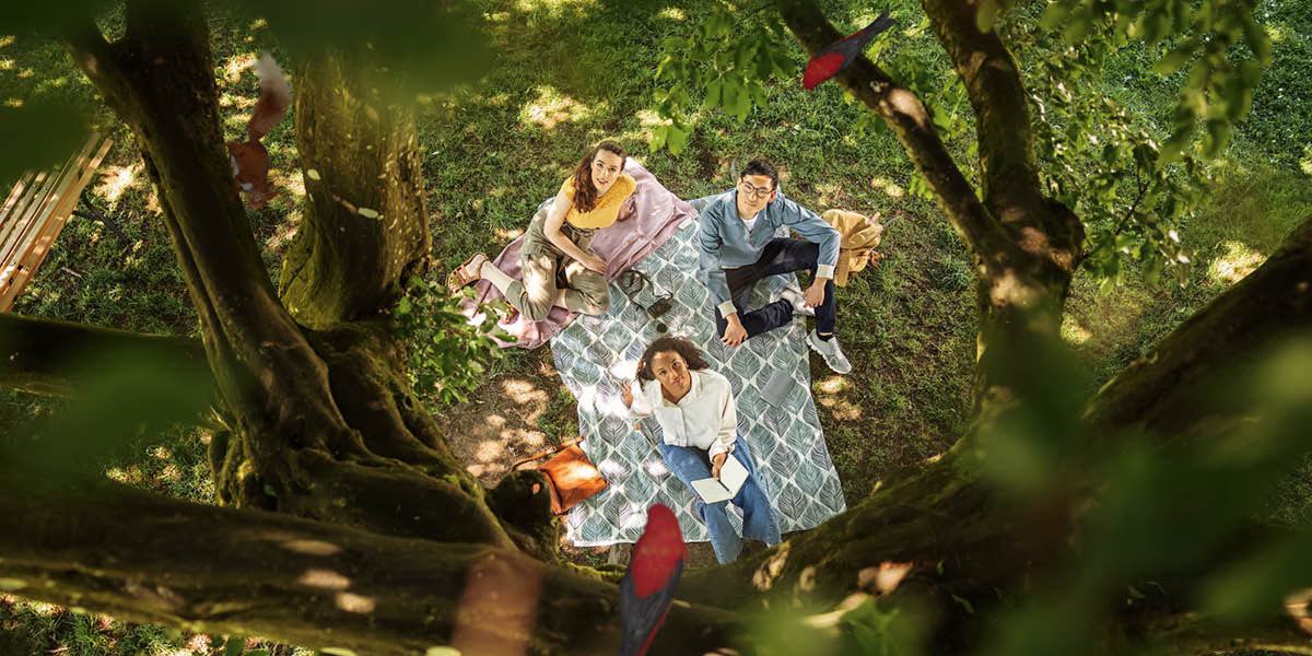 Un groupe d’amis admire des oiseaux perchés dans un arbre.