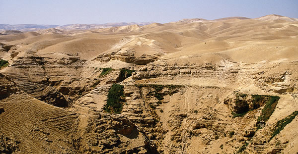 Padang belantara Yehuda