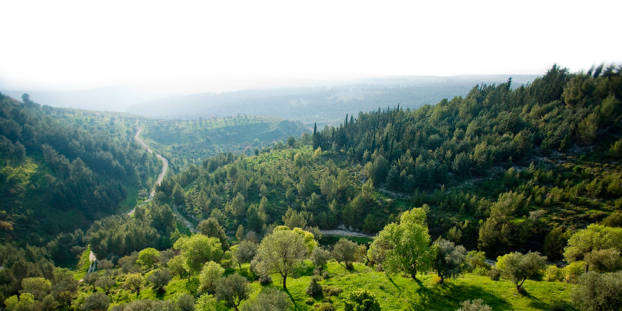 Ti Kabakiran ti Biriya iti Galilea