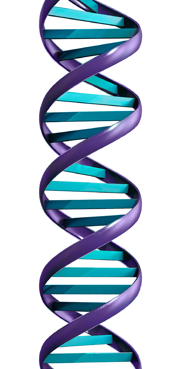 Molecola di DNA simile a una lunga scala a pioli avvolta a spirale