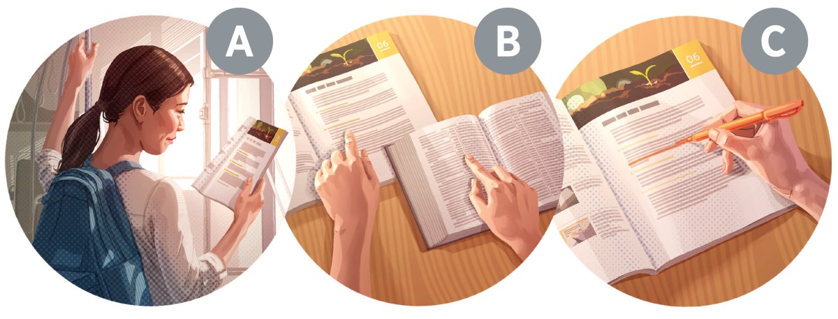 Sequenza: Una donna si prepara per una lezione biblica. A. Legge la prima pagina della lezione. B. Legge i passi biblici indicati nella lezione. C. Evidenzia parole ed espressioni chiave.