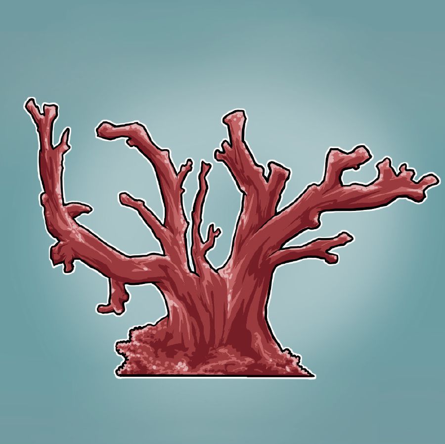 Corallo rosso