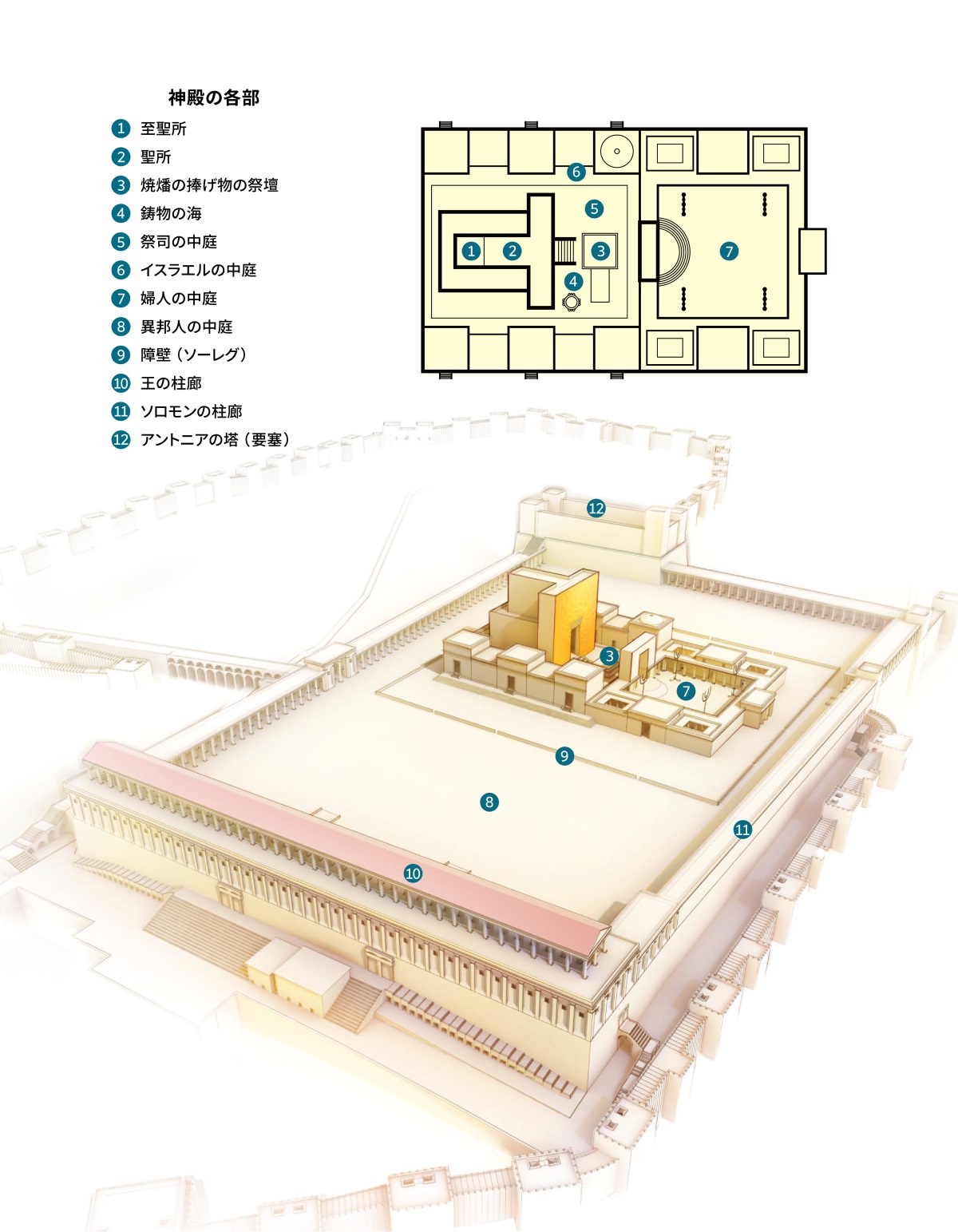 [543ページの図]